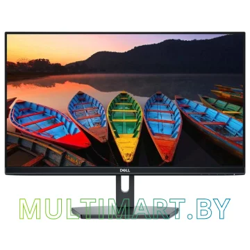 Монитор Dell SE2419H